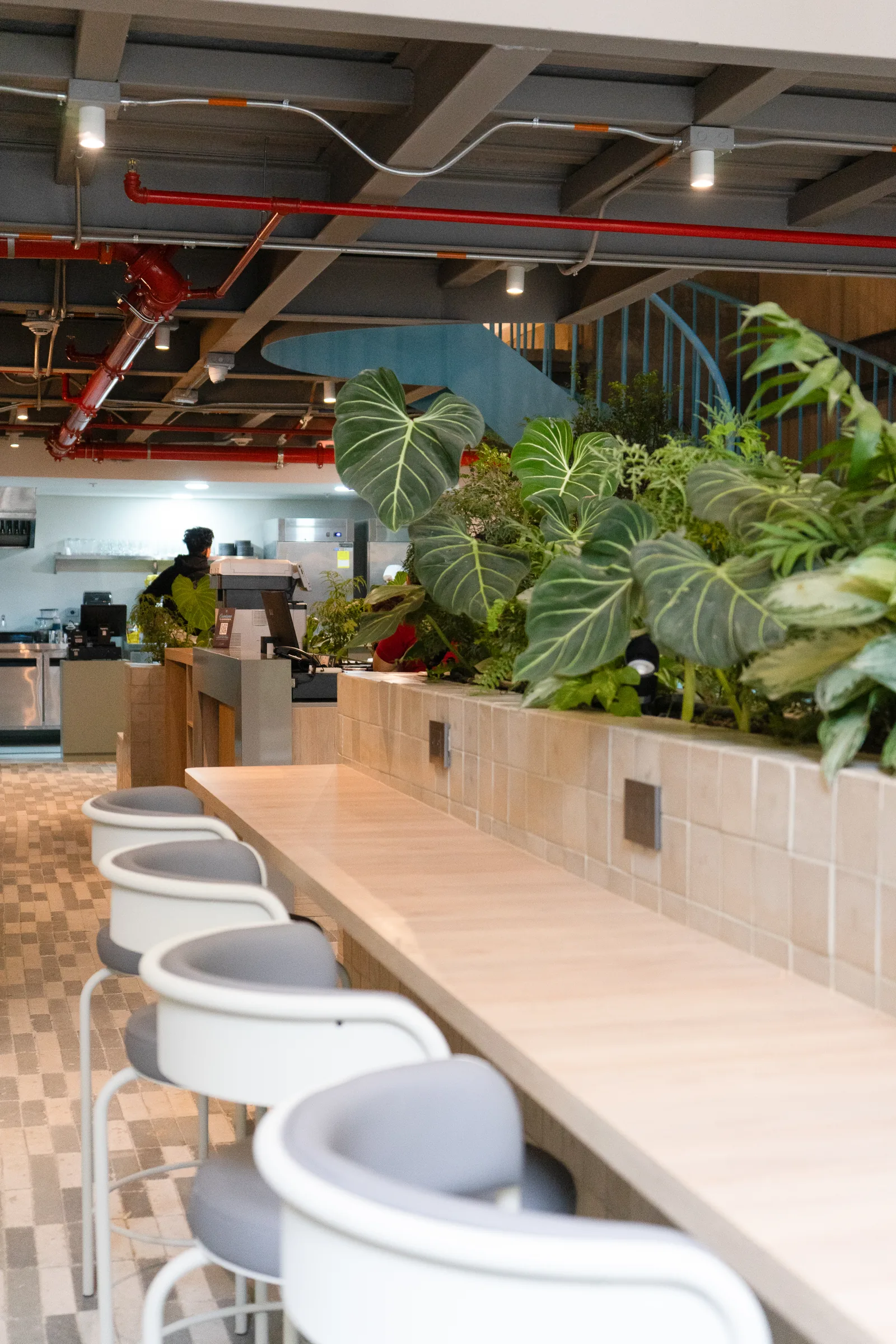 Interior del café Pálpito con plantas